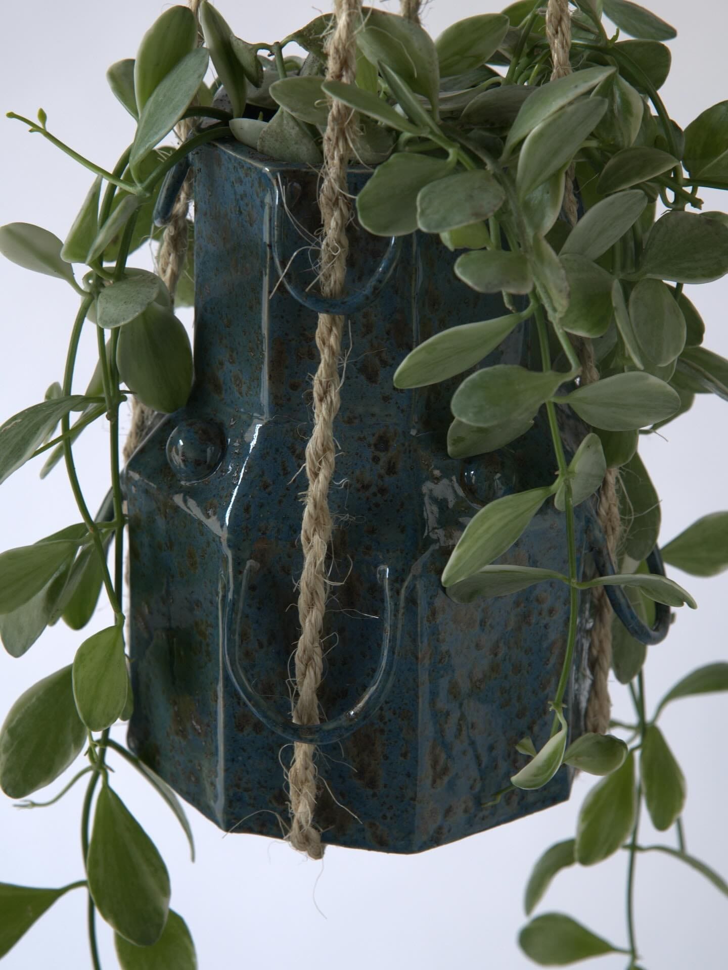 Gepot: achthoekige blauwe hangpot met bruine spikkels aan jute touwen, vol hangende groene plant
